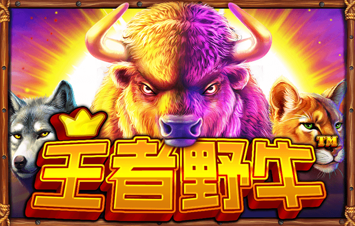 959cc娱乐彩票IOS旧版
